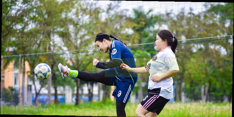 看台上观众使用手机查看赛事数据的画面